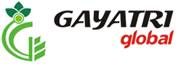 Gayatri Global, Indore Gayatri Global, Indore
