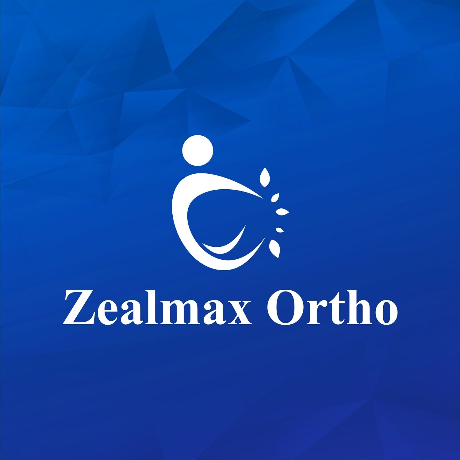 Zealmax Innovation pvt. ltd., Ahmedabad Zealmax Innovation pvt. ltd., Ahmedabad