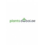 Plants Dubai, Sharjah, logo