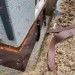 Waterproofing Specialist