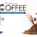 Achieve Superior Results With Advanced Sieving Solutions For Coffee Processing