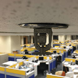 Fire Safety Certificate Sydney – Expert Inspections & Certifications 