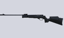 Gun