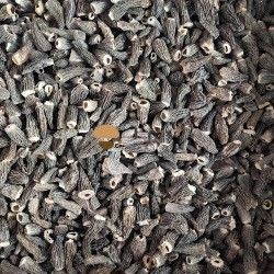 Dehydrated Dried Morels Mushroom Morchella Conica Dehydrated Dried Morels Mushroom Morchella Conica