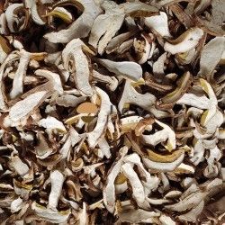 Dehydrated Wild Dried Boletus Edulis Mushroom Porcini Dehydrated Wild Dried Boletus Edulis Mushroom Porcini