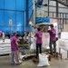 Steam-Dried Fishmeal (63% Protein, Tvn 120 Max)