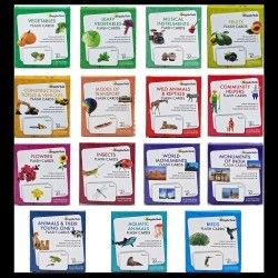 Flash Cards Pack of 15 | GrapplerTodd Flash Cards for Kids