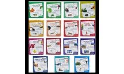 Flash Cards Pack of 15 | GrapplerTodd Flash Cards for Kids