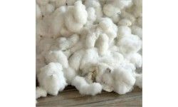 Raw Cotton Products