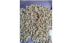 w180 w210 w320 SPLIT CASHEW NUTS WHOLESALE IN INDIA