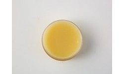 Whats Lanolin Anhydrous BP2004-Skin Moisturiser