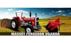 Massey Ferguson MF - 260 2WD