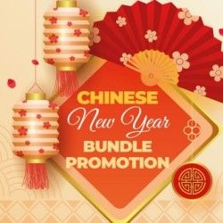 Digital lock bundle Singapore | Chinese New Year 2022 promotion