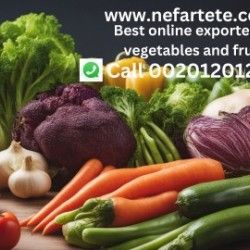 vegetables & fruits exporter
