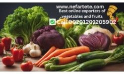 vegetables & fruits exporter
