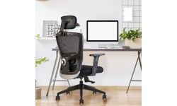 Ergonomic Office Chairs