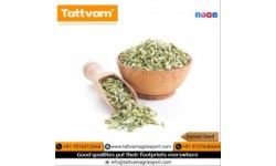 Fennel seed