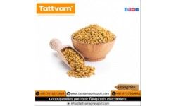 Fenugreek seed / powder