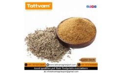 Cumin seed / powder