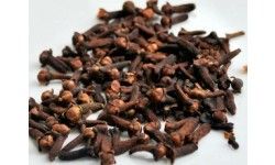 Premium Dried Clove: Herbal Spices