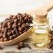 Premium Dried Clove: Herbal Spices