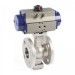 Segment Ball Valve