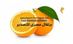 orage exporter