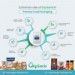 Oxygen Absorber Packets For Long Term Food Storage