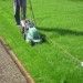 Best Grass For Lawn In India – Lush, Durable, And Low Maintenance