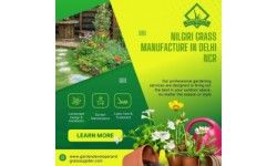 Nilgiri Grass Manufacturers in Delhi NCR – Premium Quality for Your Lawn