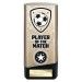 Player Of The Match Trophies