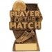 Player Of The Match Trophies