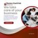Our Services
