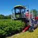 Oskar 4 Wd Self-Propelled Berry Harvester