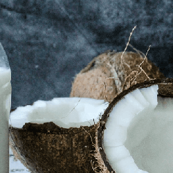 Coconut Milk Coconut Milk