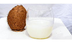 Coconut Water